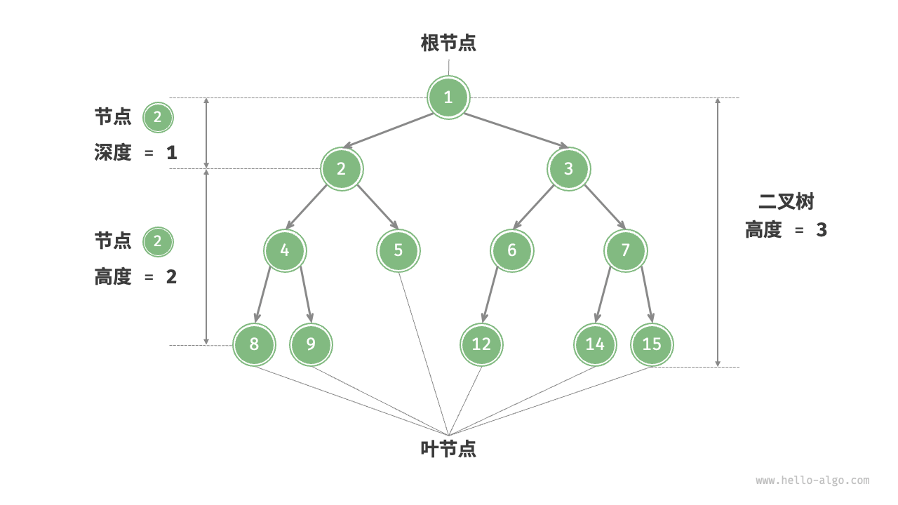 二叉树常见术语